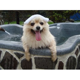 guru-mingutabu Weight Carbonate Ion Care The Compound 10 Tablets per package (Dog, Cat Pet Bath Vanity Fee)