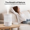 CLARSTON Humidifier for Bedroom, 2.5L Cool Mist Humidifier with Essential