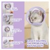 Cat Cone Collar Soft to Stop Licking and Scratching Adjustable