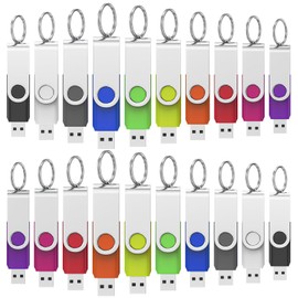 WOOOLKEN USB Stick 2.0 Memory Stick 4GB 20 Pack USB Stick 4GB Memory Stick (4GB, 20pcs, Mixed)