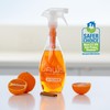 JAWS Cleaner Multi-Surface Kitchen Cleaner Bottle and 2 Refill Pods.