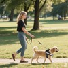 BMYUK Anti-Pull Dog Harness Reflective Elements Carabiner Design Adjustable Breathable