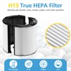 2 Pack Combi 360°Glass HEPA+Activated Carbon Filter For Dyson HP1