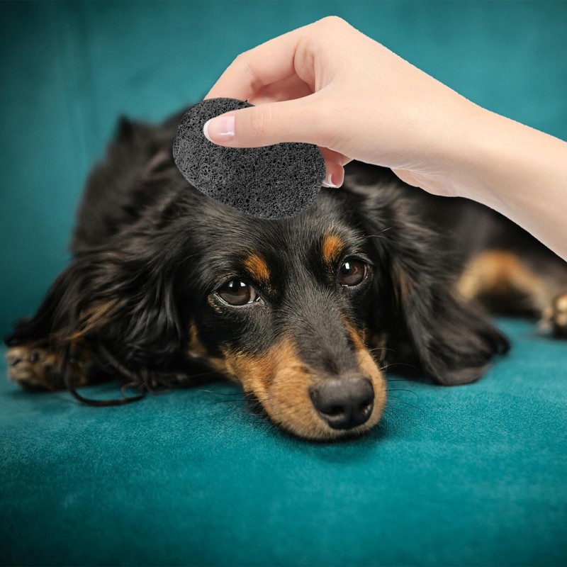 Bojueshaw 2PCS Pet Grooming Volcanic Stone – Shedding & Massage