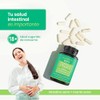 Gut Probiotic Suplemento Natural Probióticos Prebióticos Enzimas Digestivas Citrato Magnesio