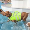 Kuoser Small Dog Life Jacket High Flotation, Reflective Dog Life