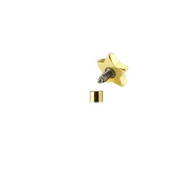 Fifth Cue Star Top Internally Threaded Surgical Steel Labret Monroe Cartilage Studs 3/16" (4mm) - Gold