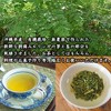 モリンガ茶 2g×30包×2袋 沖縄ウコン販売 沖縄の太陽と自然の恵み モリンガのハーブティー