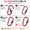 DGSHUIJIE Insta360 X4/X5 Compatible Storage Case with Carabiner, EVA Hard