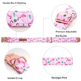 Lionheart glory Valentine's Day Collar, Flamingos Print Dog Dog Collar for Small Pink Dog Collars Spring Female Pet Gift Adjustable Heavy-Duty Dog Collar Holiday
