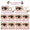 FLANMY フランミーワンデー 30枚入 【メープルシフォン】 -4.75