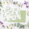 Whaline 36Pcs Sage Green Thank You Cards with Envelopes and