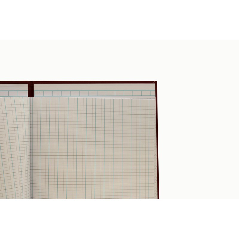 Exacompta - Ref 48/21Z - Guildhall - Headliner Account Book,298x273mm,