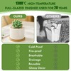ZOUTOG Succulent Pots 3.1 Inch,8 Pack Succulent Planters,Small Pots for