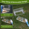 Window Bird Feeder with Strong Suction Cups – Flat-Tile Roof