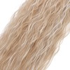 TESS Ponytail Extensions, 80 cm, Ash Blonde with Highlights, Corn