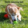 3 Pieces Dog Toy Ball 5cm Treat Dispenser Ball Toy,Teeth