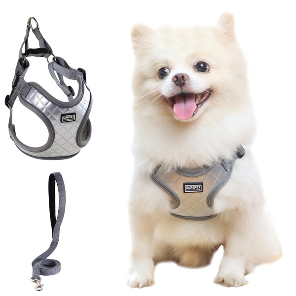 No Pull Dog Harness with Leash Set Grey All Weather