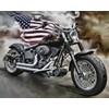 Bold Eagle Crotch Rocket Wrap, Weapon Bike Vinyl, Checkered Flag