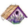 Home Bazaar Mockingbird & Bluebonnets Texas Wren House