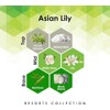 Aroma Retail Fragrance Oil Refill for Scent Machine Aroma Diffuser