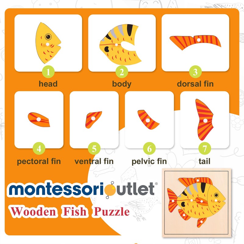 Montessori Outlet Fish Puzzle for Children 3-6 Years Montessori Education