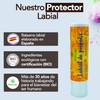 Pack x 3 Organic lip balm 5 g each. Lip