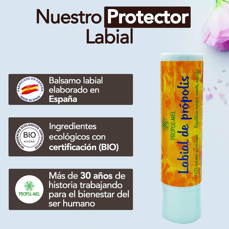Pack x 3 Organic lip balm 5 g each. Lip
