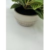 Threshold Ceramic Potted Faux Artificial Plant 6 In Height 15