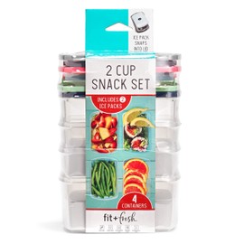 Fit & Fresh Small Plastic Containers With Lids 16 oz, Small Snack Containers With Lids For Adults and Kids, Reusable Leakproof Dressing and Condiment Containers With Two Attachable Ice Packs, 4PK, Light