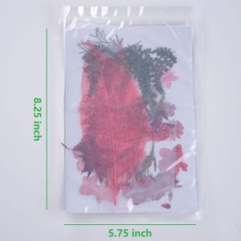 15 Types 48pcs Real Dried Pressed Flowers Leaf Plant Herbarium for DIY Resin Jewelry Making Floral Decors (Pink)