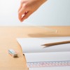 Lion Office Equipment Pick-up Ruler Scale 11.8 inches (30 cm)
