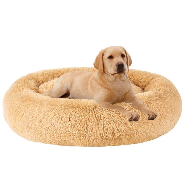 MFOX Calming Dog Bed (L/XL/XXL/XXXL) for Medium and Large Dogs