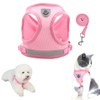 FEimaX Dog Harness and Leash Set, No Pull Reflective Adjustable