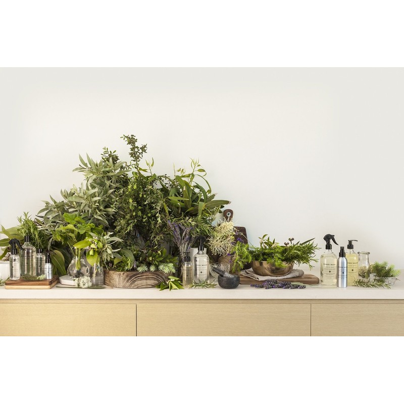 Bondi Wash - Dish Wash