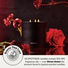 Apotheke 3-Wick Scented Candles for Home, Charcoal Rouge - 26