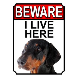 Shawprint BEWARE I LIVE HERE METAL GATE SIGN DOBERMAN PINSCHER 200MM X 10MM (1058H1)