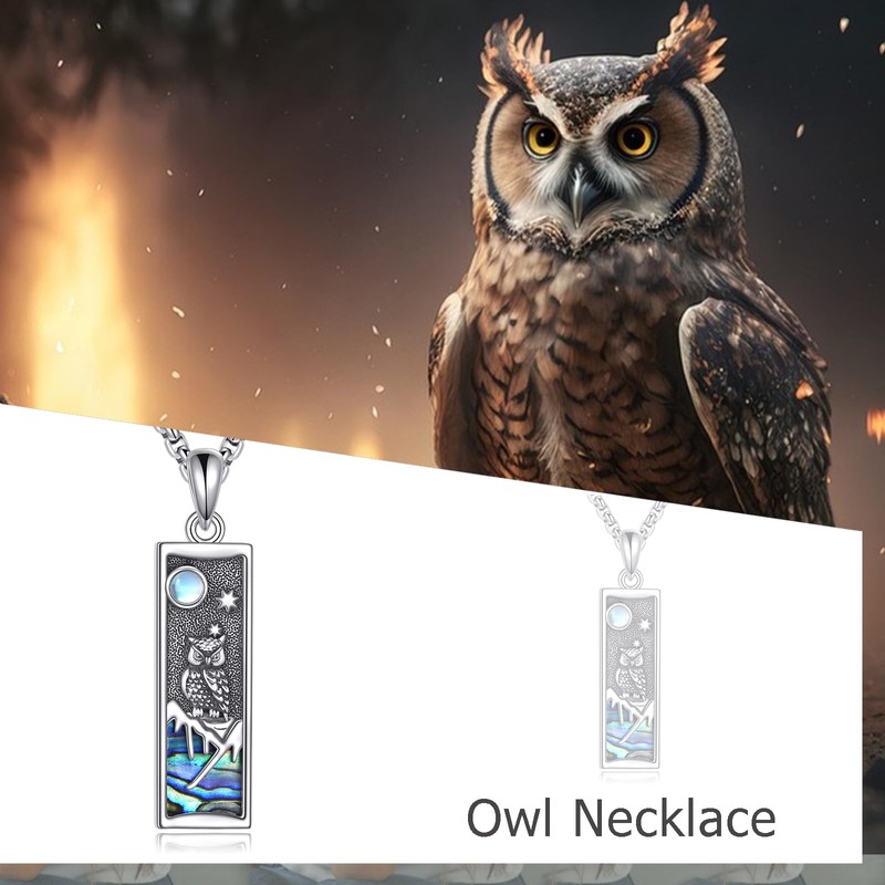 ONEFINITY Eule Kette 925 Sterling Silber Eule Anhänger Halskette Schmuck