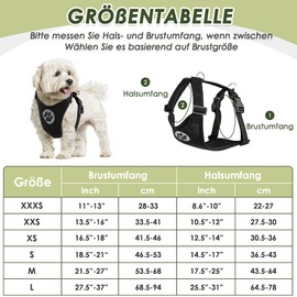 Eyein Dog Harness with Seat Belt for Car, 2 Carabiner Hooks - Connected to Seat Belt Buckle, Children's Safety Seat or Trunk, Adjustable, Breathable Harness (Black, XS)