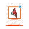 RTO Cardinal bird H220 RTO Counted Cross Stitch Kit