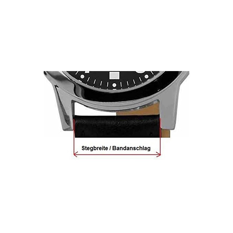 Eichmüller Stainless Steel Spring Bars 1.5 mm Diameter 22 mm