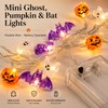 Halloween Fairy String Lights for Indoor & Outdoor Decor –