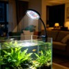 DaToo 6W Aquarium LED Light for 1-5 Gallon Betta Fish