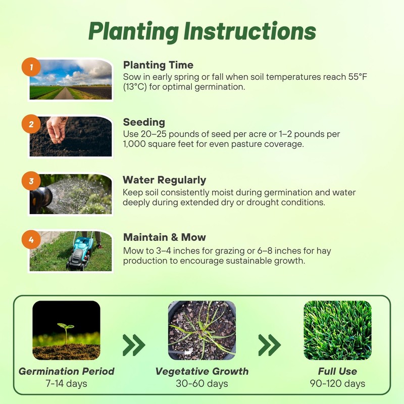 Outsidepride Great Gains Seeds - 25 lb. Perennial, Drought &