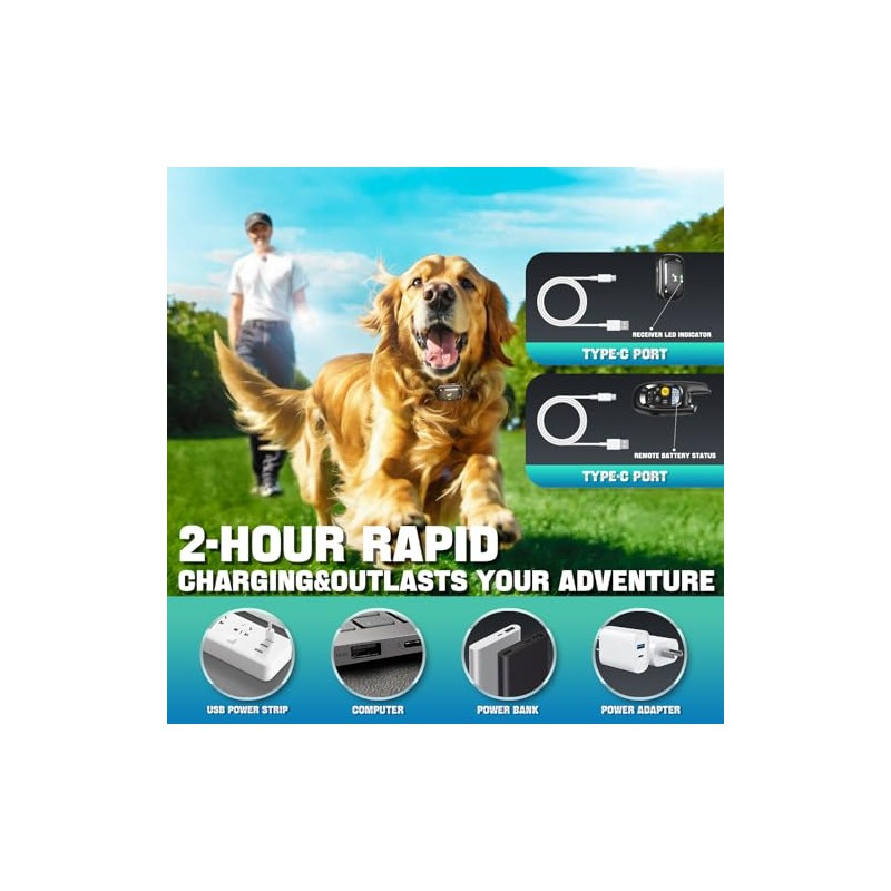Dog Shock Collar with Remote Control- Training Collar for Small