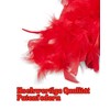 Runesol Feather Boa, red