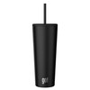 go! 24oz Stainless Steel Straw Tumbler with Triple Insulation &