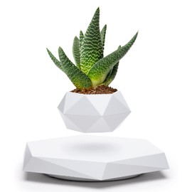 BandD Floating Plant Pot - Levitating Plant Pot for Succulents, air Bonsai & air Plants. Floating Planter for Home, Office & Desk Levitating Decor. Magnetic Floating Levitating Display. (White)