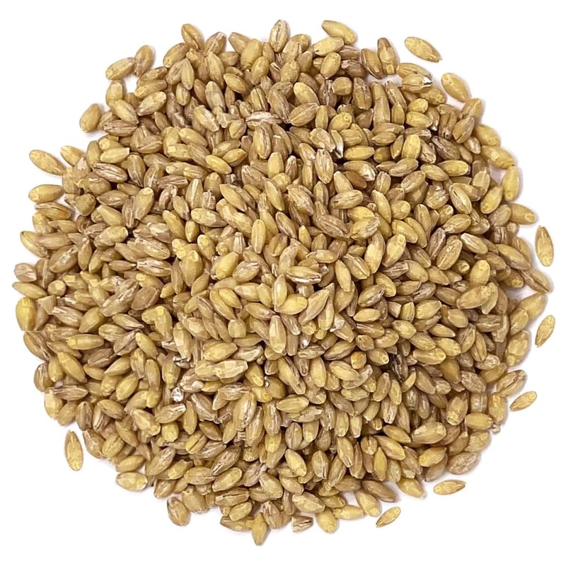 Food to Live Organic Hulled Barley, 15 Pounds – Non-GMO,