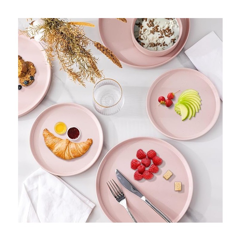 AmorArc Ceramic Dinner Plates Set of 6, 10.25 Inch Stoneware